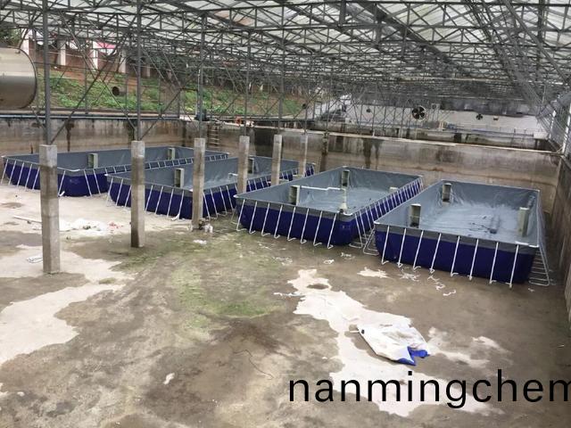 應(yīng)(ying)用案(an)例